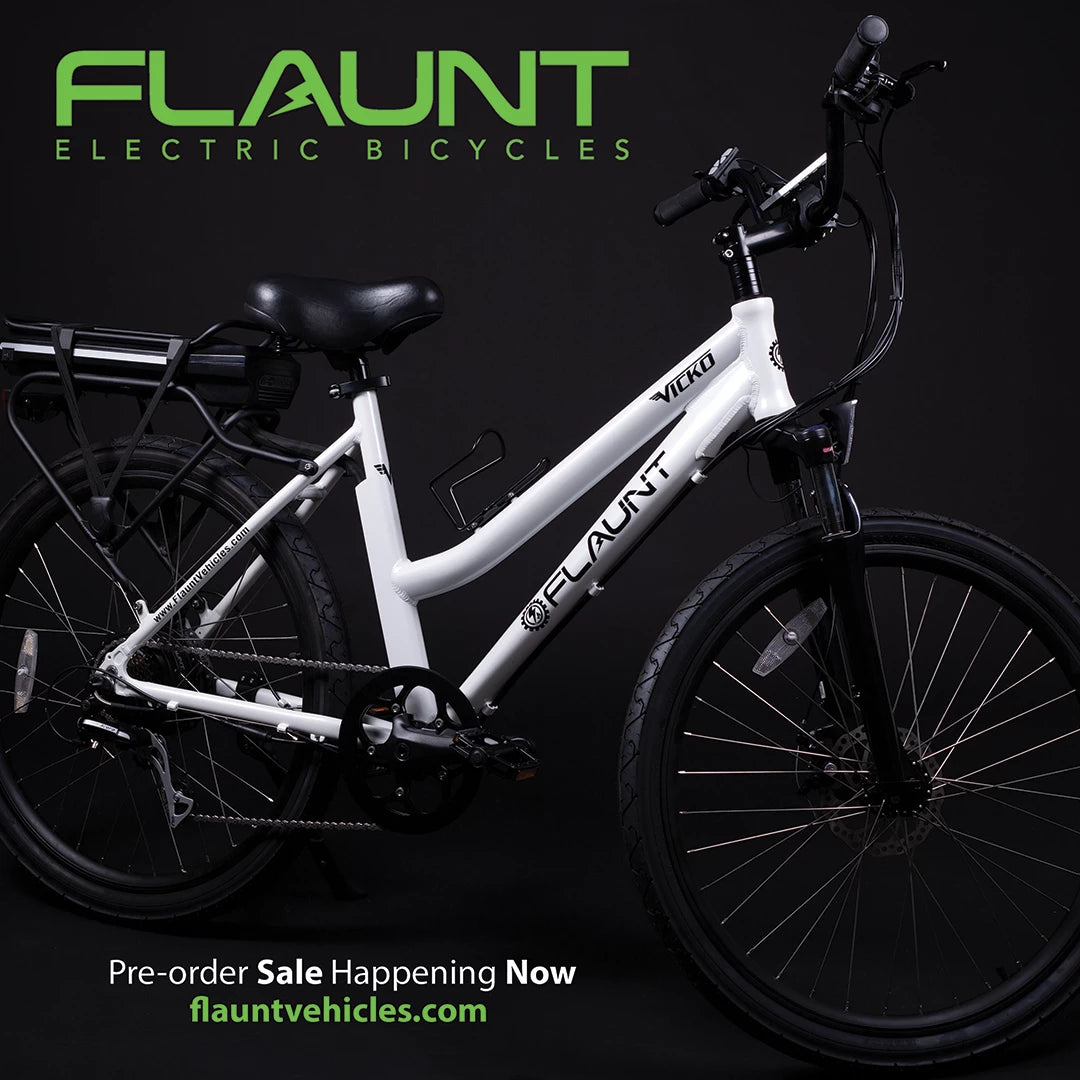 Preorder and Save 250 FLAUNT Electric Vehicles
