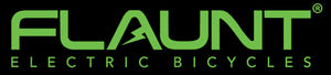 FLAUNT Electric Vehicles