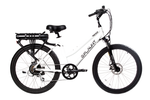 FLAUNT Demo Bike